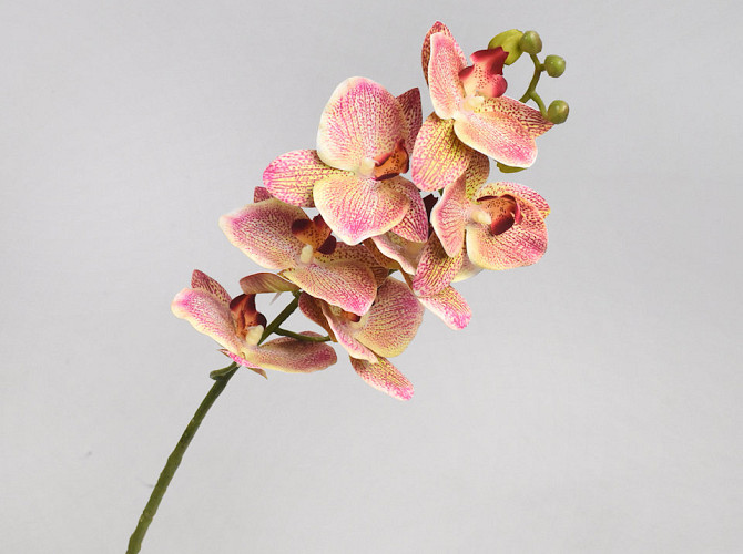 Artificial Orchid Pink 73cm 