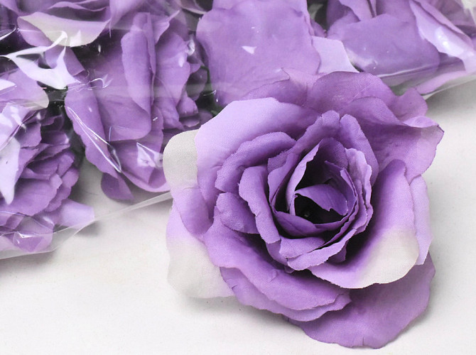 Rose Violet D10cm