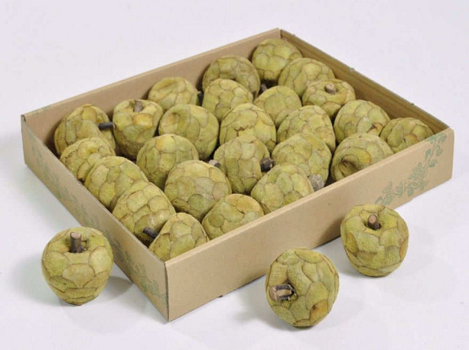 Pana Apfel 6cm 25-Pack