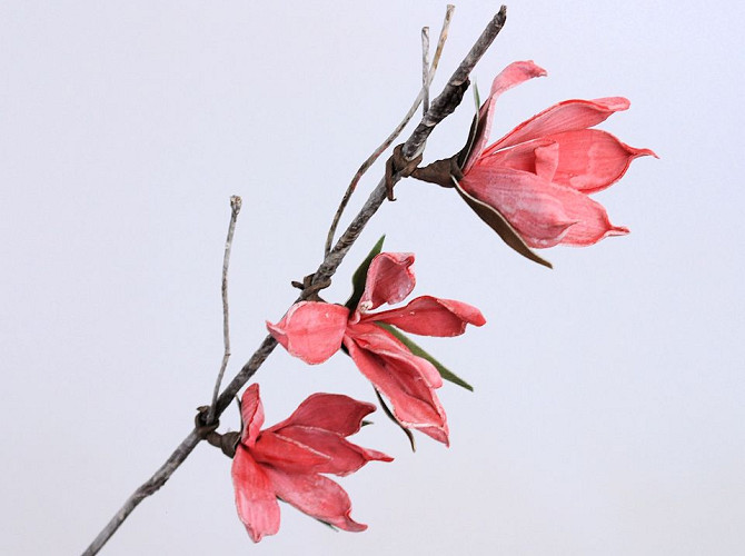 Foam Magnolia 85cm red