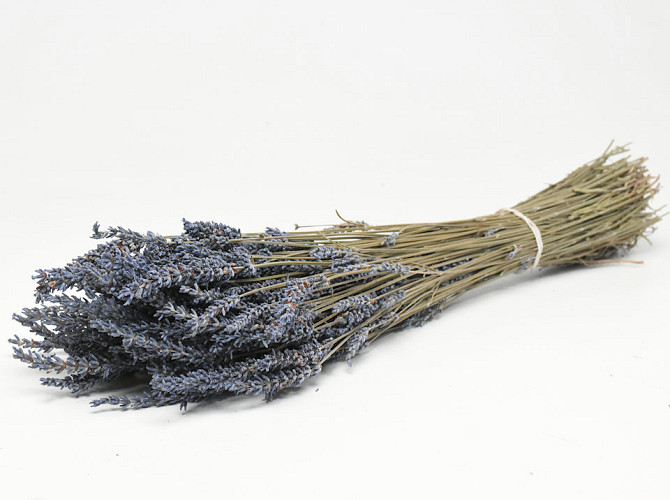 Lavendin 40cm 100Gr
