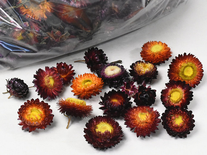 Helichrysum Rot Köpfe 250gr.