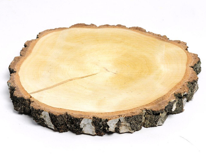 Birch Slice 30-35cm