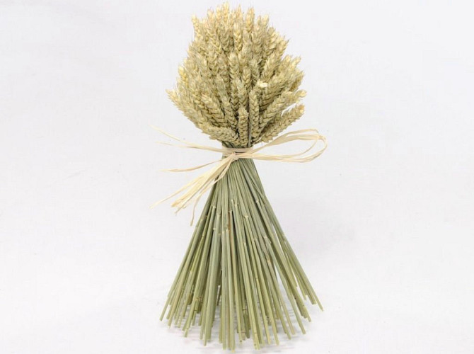 Dried Bouquet Wheat 40cm Round