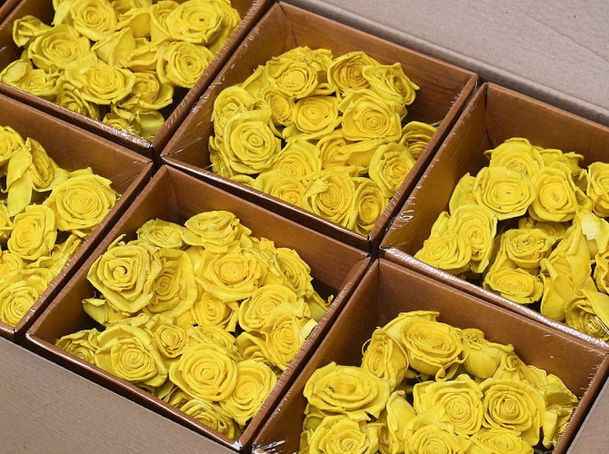 Sola Rose 5cm Yellow 25pcs B-Stock