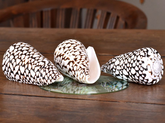 Olok Batik 9-10cm