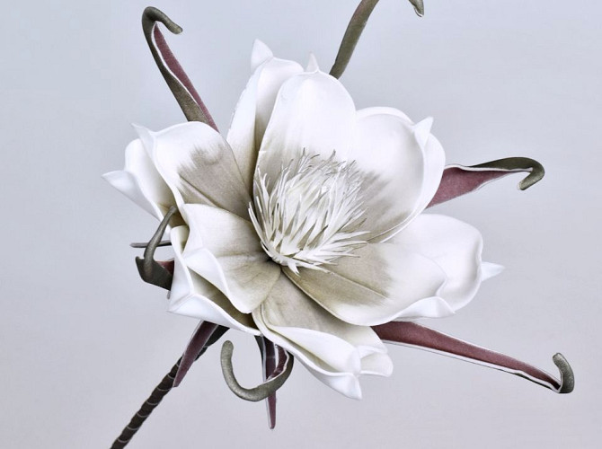 Foam Flower White-Grey, D 20cm