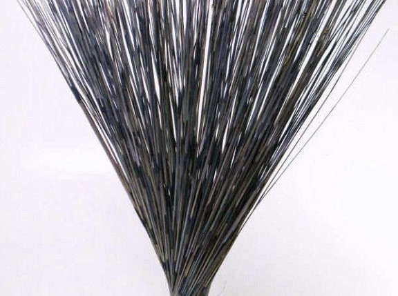 Reed Cane Blue 75cm