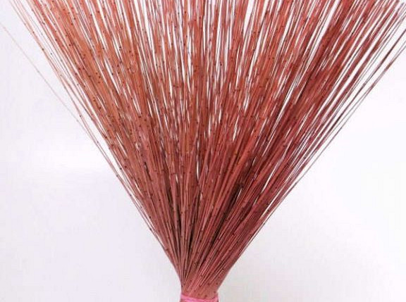 Reed Cane Pink 75cm