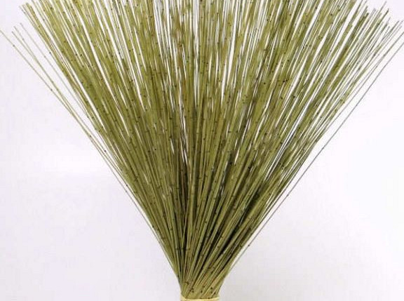 Reed Cane Frühlingsgrün 75cm