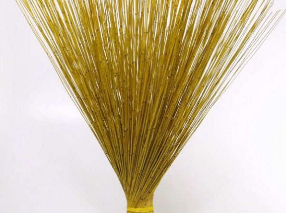 Reed Cane Gelb 75cm