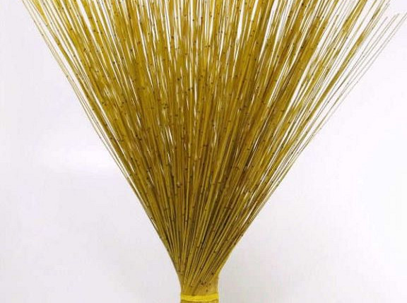 Reed Cane Yellow 75cm