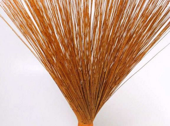 Reed Cane Orange 75cm