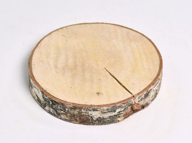 Birch Slice 20cm