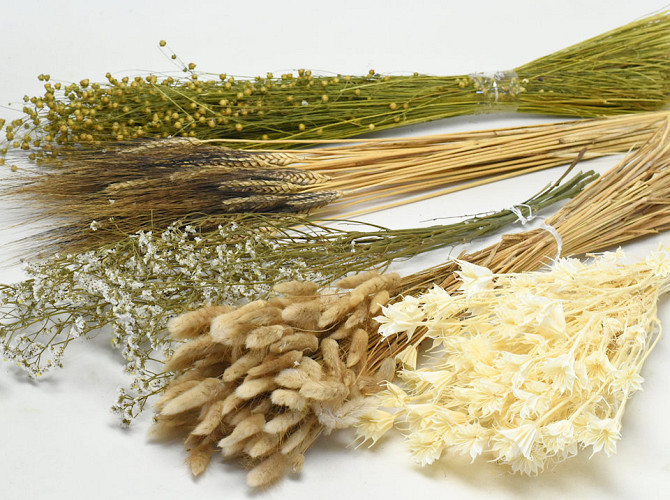 DIY Dried Flower Bouquet Natural/White XL