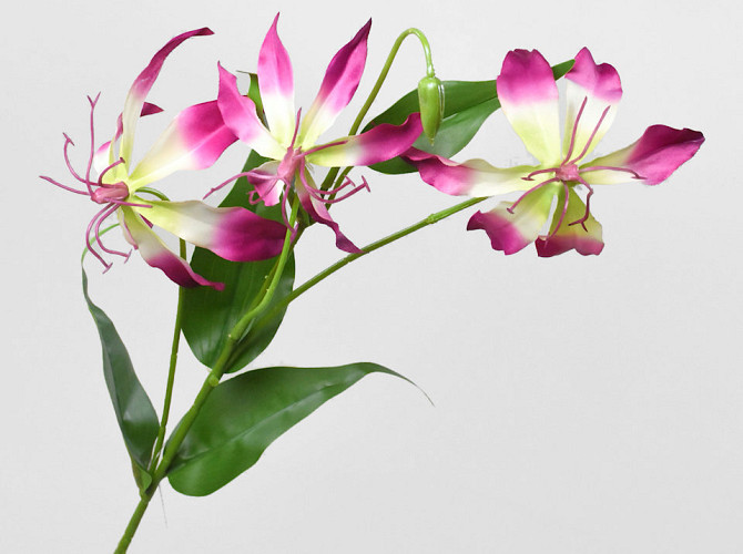 Artificial Gloriosa Pink 80cm 