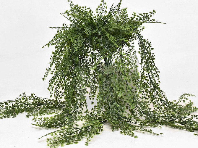 Adianthum 195lvs 85cm