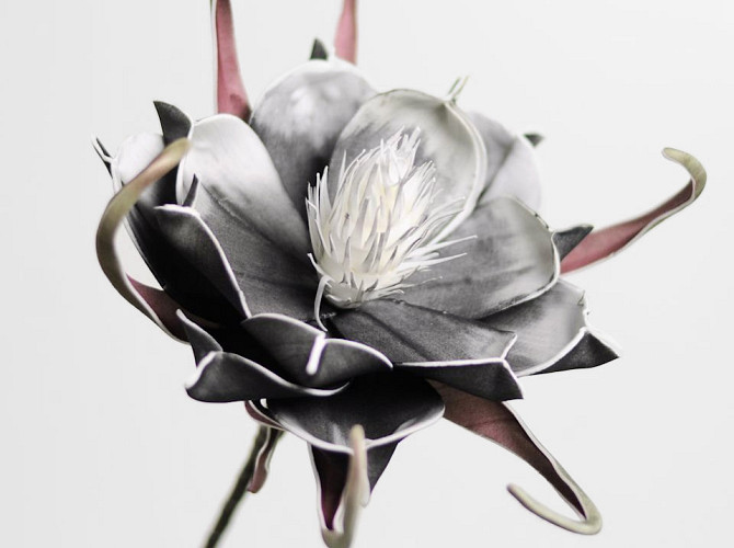 Foam Flower black, D 20cm
