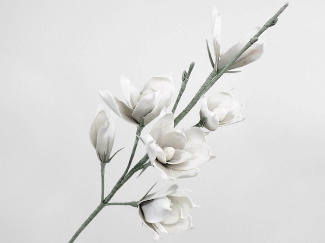 Schaumstoff Magnolia Weiß/Grau, D 18cm