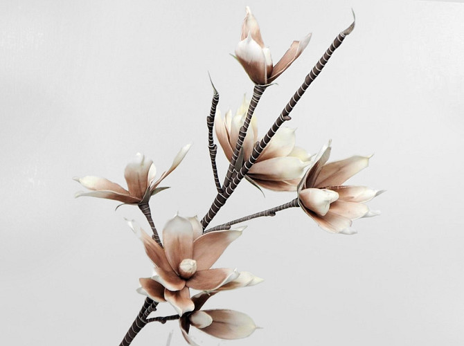 Schaumstoff Magnolia Weiß/Mocca, D 18cm