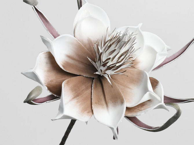 Foam Flower White-Mocca, D 20cm