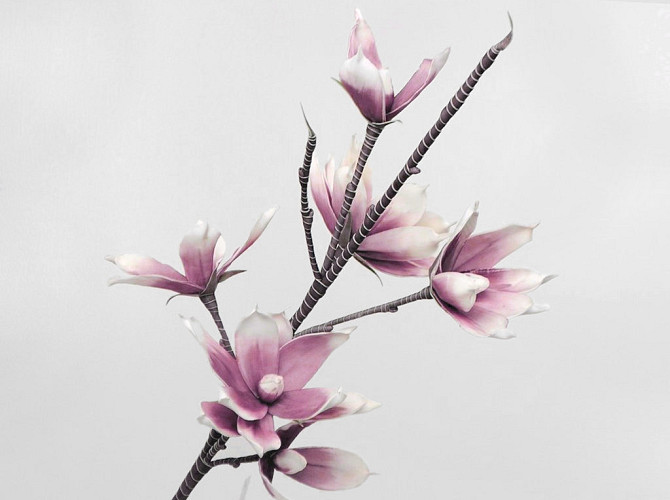 Foam Magnolia White/Lilac, D 18cm