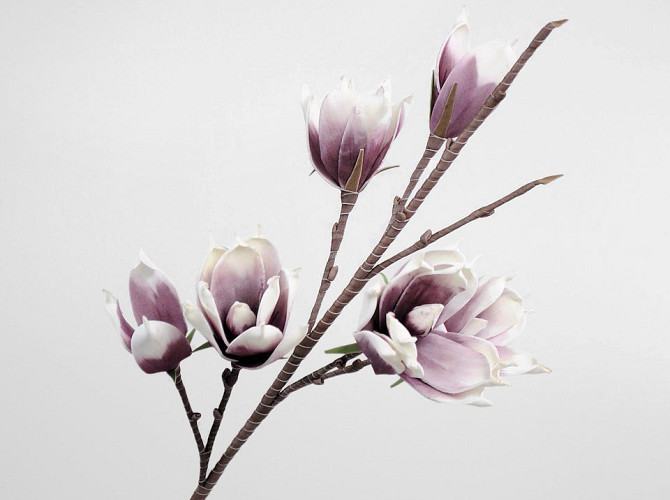 Foam Magnolia White/Lilac
