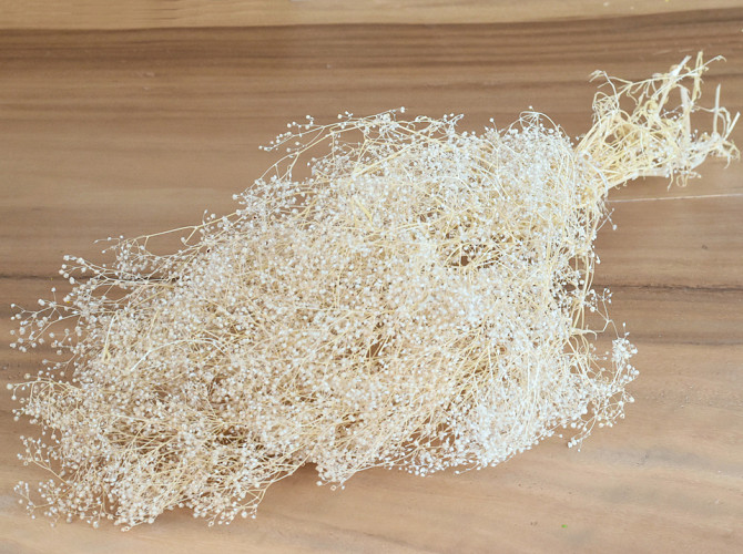 Gypsophila 35cm