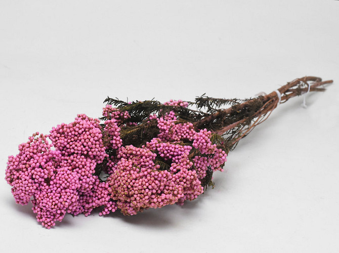 Rice Flower Rosa 100gr.