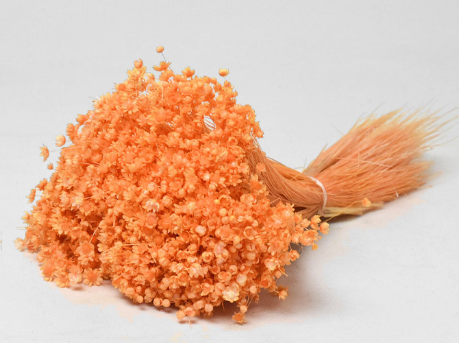 Glixia (50gr) Orange 30cm