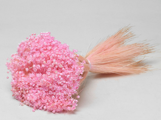 Glixia (50gr) Pastel Pink 30cm