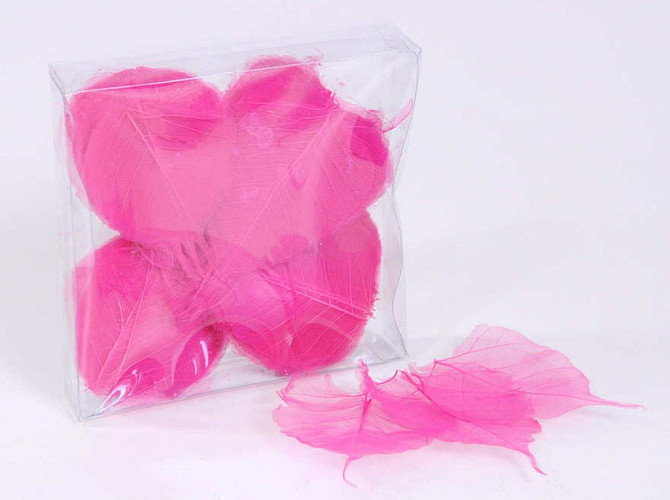 Skeleton Leaves 200pcs Pink