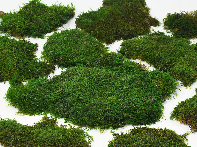 Flat Moss green per kg