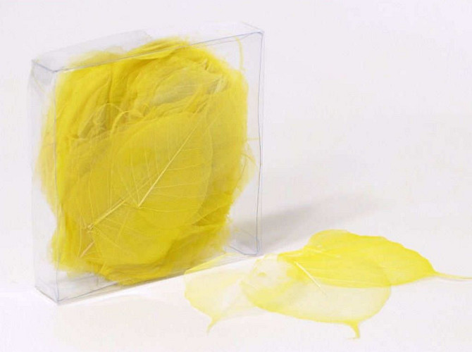 Skeleton Leaves 200pcs Yellow