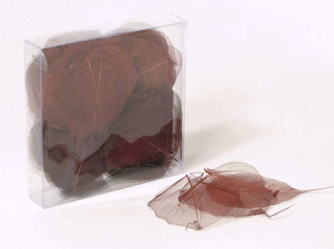 Skeleton Leaves 200pcs Brown