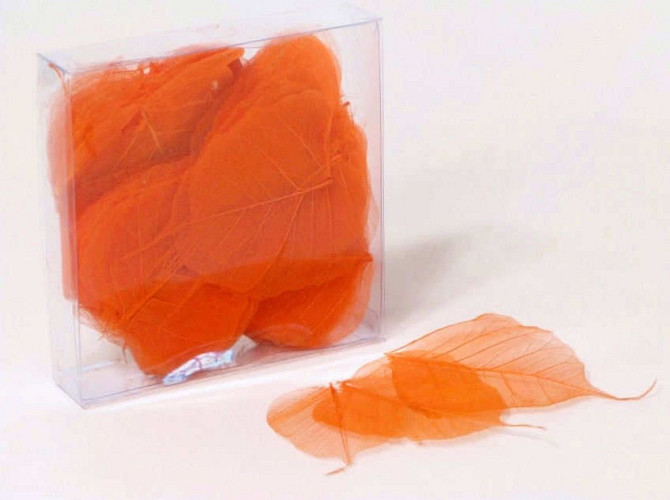 Skelett Blätter Orange 200pcs 