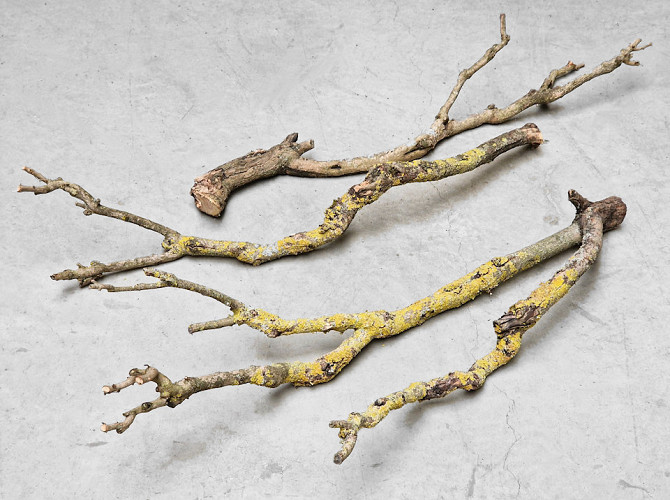 Lilac Branch 80-100cm
