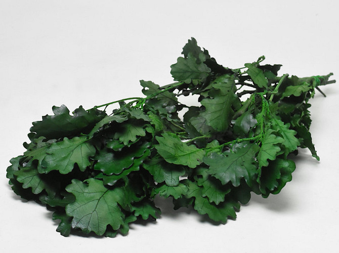 Oak Leaves Green 50-60cm