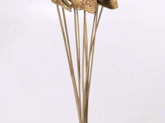 Sponge Mushroom auf 50cm Stiel