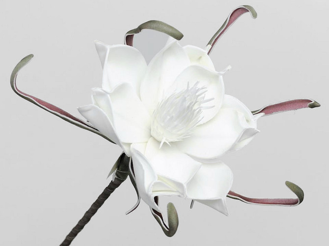 Foam Flower White, D 20cm