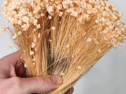 Glixia (50gr) Pastell Pfirsich 30cm