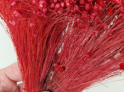 Glixia (50gr) Rot 30cm