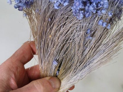 Glixia (50gr) Pastell Violett 30cm