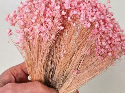 Glixia (50gr) Pastellrosa 30cm