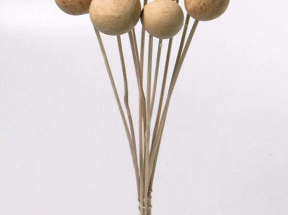 Bellani on 50cm stem