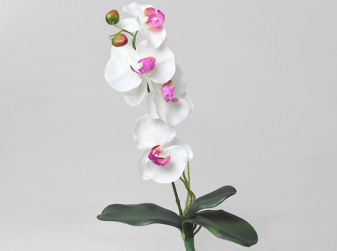 Artificial Phalaenopsis White 50cm 