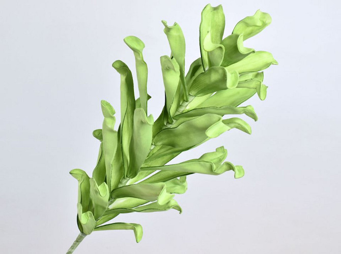 Zweig Schaumstoff Grün, D 40cm