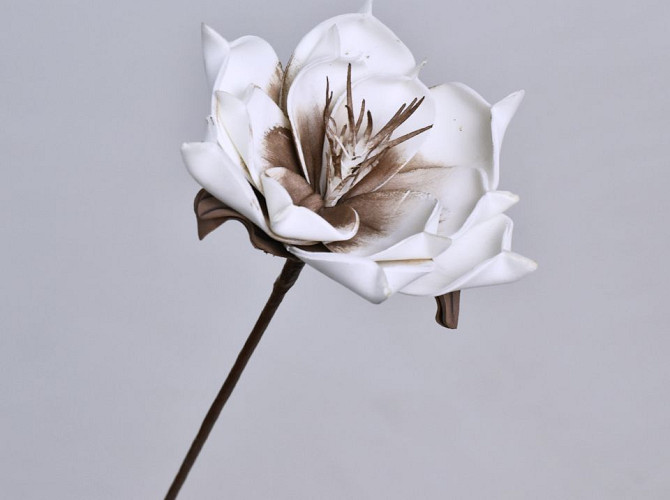 Blume Schaumstoff Weiß/Mocca, D 16cm