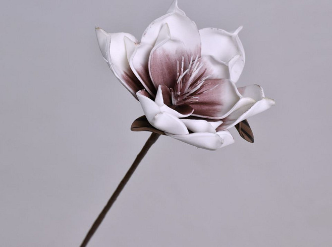 Foam Flower White/Lilac, D 16cm