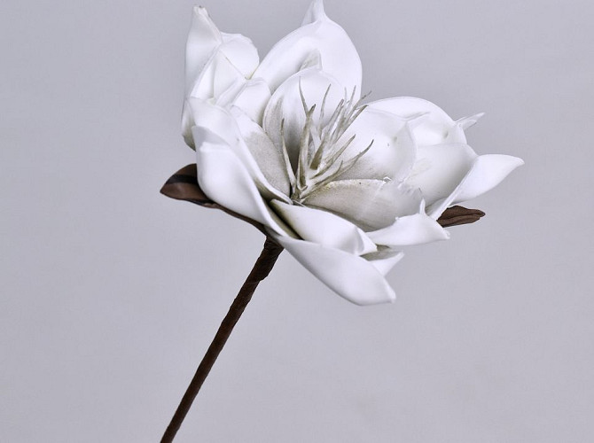 Foam Flower White/Grey, D 16cm